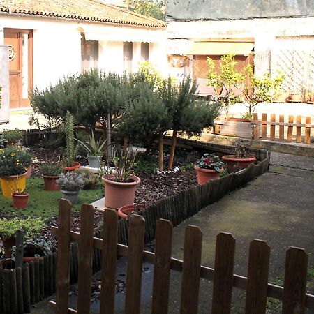 Anna'S Garden Venice Exterior photo